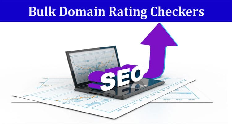Top 3 Ways Bulk Domain Rating Checkers Can Help Your SEO