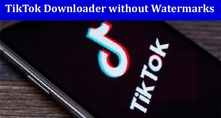 A Free and Easy-to-Use TikTok Downloader without Watermarks