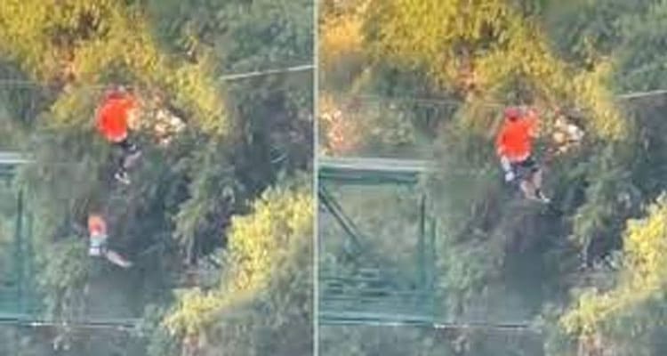 Latest News Accidente Parque Tucan Monterrey Tragedia