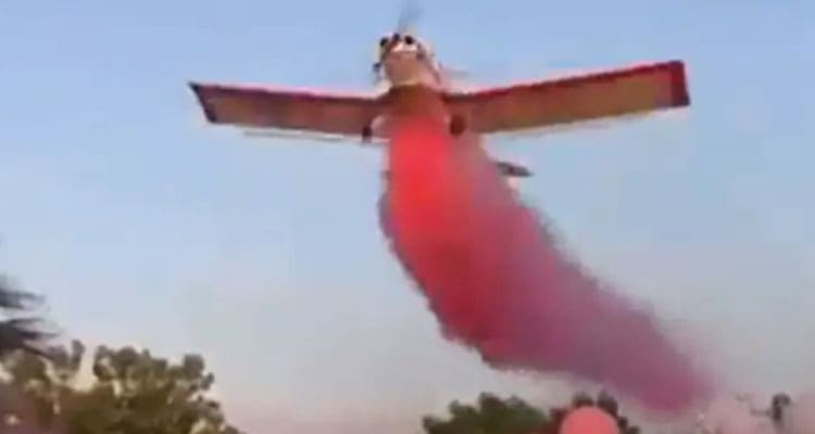 Latest News Gender Reveal Plane Crash Video