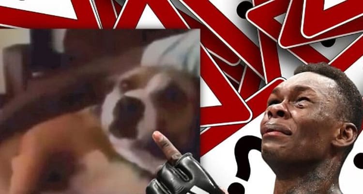 Latest News Israel Adesanya Dog Video Controversy
