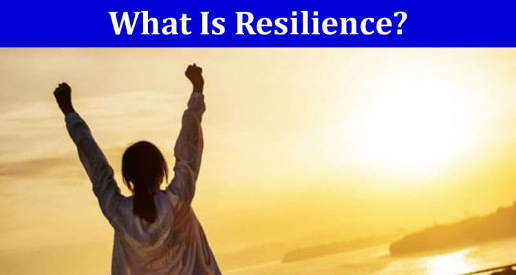 Your guide to What Is Resilience
