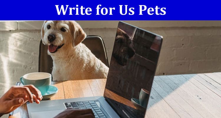 Complete A Guide to Write for Us Pets