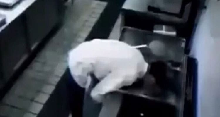Latest News Chef puts head in fryer full video