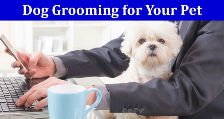 Top 6 Reasons to Choose Dog Grooming for Your Pet