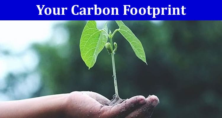 Your Carbon Footprint Understanding and Reducing It at Home