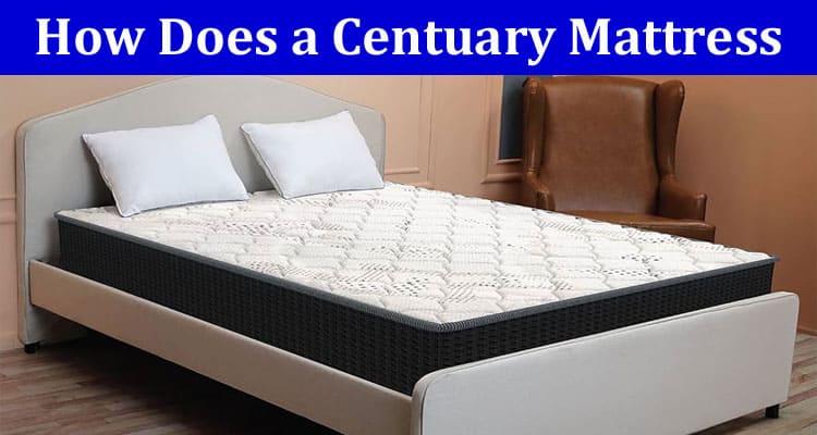 How Does a Centuary Mattress Help Your Spinal Cord Feel Relaxed?