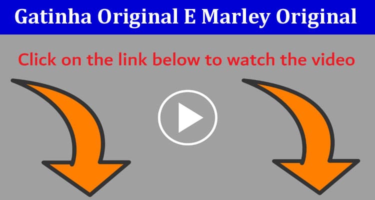 Gatinha Original E Marley Original 2024: Learn more details on Gatinha original video on Twitter.